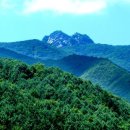 남노일로 이미지