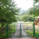 유곡면 운동장 이미지