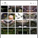 프라임1스튜디오 찰리 도색후기