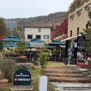 백옥대로2 | 💖 용인 대형카페 정그리다 내돈내산 방문후기 💖아이랑 방문하기도 좋고 애견동반도 가능한 곳!