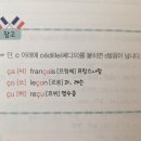 가장 쉬운 독학 프랑스어 첫걸음 이미지