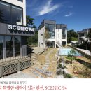 시닉94 이미지