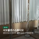 다이어트 댄스&근력운동(9월) | 시오폴댄스스튜디오 | 검단신도시 아라역 폴댄스 요가 강습 운동 추천