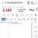 주식회사 메쎄이상 이미지