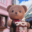 곰돌이노래연습장 이미지