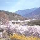 경로공원 공중화장실 이미지