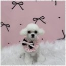 사계절, 멍 이미지