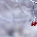 주식회사 동해