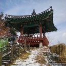 농암대2 Daum카페