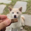 오븐베이크