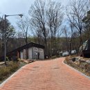 청포대숲속야영장 | 성북동 숲속야영장 하늘 9 캠핑 후기