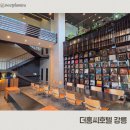 홍딜리버리 | 강릉역 가성비 호텔 추천 더홍씨호텔 스탠다드싱글 내돈내산 후기