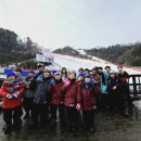 종합무예 영무관 이미지