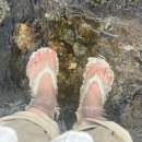 스테이 삼사오월애 이미지