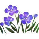 153콩나물국밥 이미지