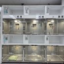 민들레병원 이미지