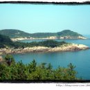 위도통나무별장민박 이미지