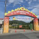 겸백면민회관 화장실 | [경남] 강주 해바라기 축제 실시간 정보 주차장 셔틀버스 화장실 구역