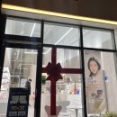 눈빛안경 | 오송안경전문점 눈빛안경ㅣ다초점안경 하드렌즈 전문점