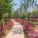 바람길 이미지