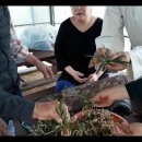 목란농장 이미지