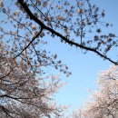 안민고개길 이미지