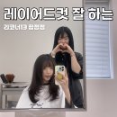 예진미용실 - 나주시 | 레이어드컷 잘하는 합정미용실 리코너13 예진디자이너 후기