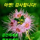 [작사찬양] 사명 이미지