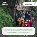 숲속트리하우스 이미지