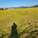 담양군수북면수남보건진료소 이미지