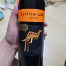 멜로테일 이미지