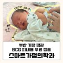 손 가정의학과의원 | 부산 기장 정관 BCG 피내용 무료 접종 스마트가정의학과