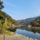 물안개 오토캠핑장 이미지