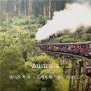 펭귄 | 멜버른 투어 추천｜퍼핑빌리 증기기관차 + 펭귄 퍼레이드 내돈내산 후기