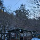 정선찜질방 | [정선 숙소] 정선 도원펜션&amp;캠핑장_단풍동 독채 겨울 바베큐 힐링 여행 후기