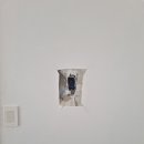 경남비디오 이미지