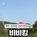 비비킹펜션