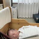 마미캠프산후조리원 | [창원 마미캠프 산후조리원] 후기(모자동실, 모유수유 권장)