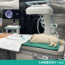 뉴로동물암센터 이미지
