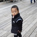 힐링마켓 이미지