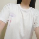 퓨즈서울 생활한복 반팔 셔츠 & 정년이 콜라보 부채 반팔티 후기