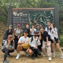 고앤고짐 이미지