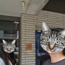 리버537 | 로데오역 맛집 추천 | 퓨전 한식 다이닝 “도슬박” 주말런치 후기(닭곰탕 국물 + 고급스러운 분위기)