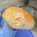 북신해안로 | 얼마나 밀린 거지,,, 그동안의 일상🫧 /4-5월