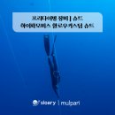 Skin essay(스킨 에세이) | 프리다이빙 슈트 | 글라이드스킨 클로즈셀 2mm 잠수풀장, 바다 사용 후기(ft. 오픈셀 vs 클로즈셀 차이)