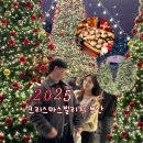 11545-11-99-15 | 크리스마스빌리지 부산 트리마을 주차 꿀팁 및 주말 방문후기