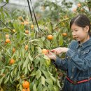 규리 농장 이미지