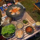 솔내음캠핑장 | [서울 수원 근교 글램핑장 솔직 후기] 솔내음캠핑장 + 가성비 크리스마스소품, 조명, 쿠팡 캠핑음식...