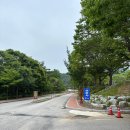 선운사 - 1268 | [사찰 여행] 고창 선운사 방문 후기