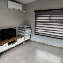 베스애견 이미지